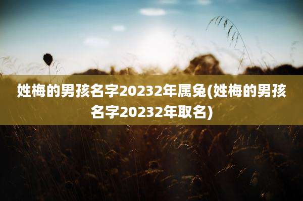 姓梅的男孩名字20232年属兔(姓梅的男孩名字20232年取名)