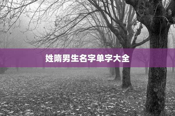 姓隋男生名字单字大全