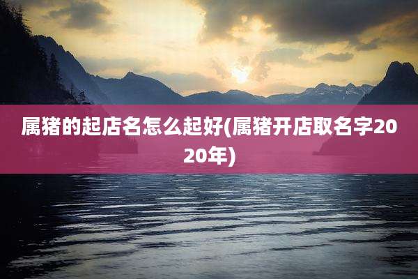 属猪的起店名怎么起好(属猪开店取名字2020年)