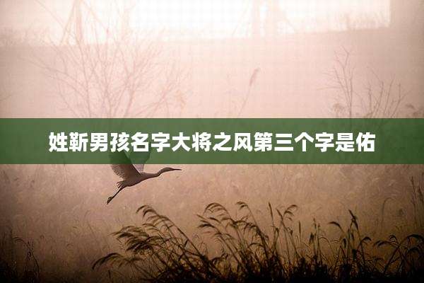 姓靳男孩名字大将之风第三个字是佑