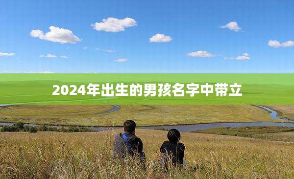 2024年出生的男孩名字中带立