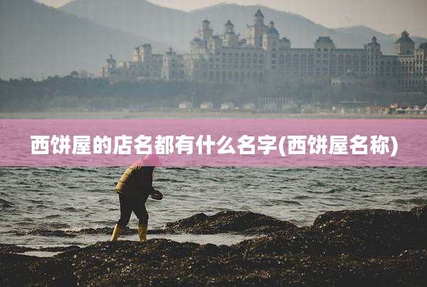西饼屋的店名都有什么名字(西饼屋名称)