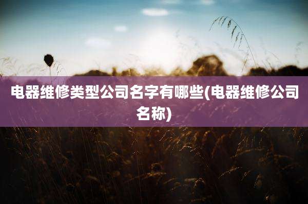 电器维修类型公司名字有哪些(电器维修公司名称)