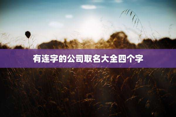 有连字的公司取名大全四个字