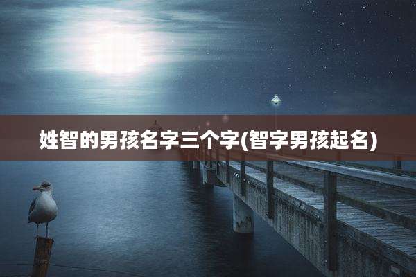 姓智的男孩名字三个字(智字男孩起名)