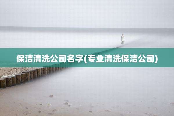 保洁清洗公司名字(专业清洗保洁公司)