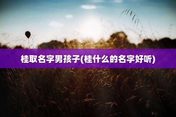 桂取名字男孩子(桂什么的名字好听)