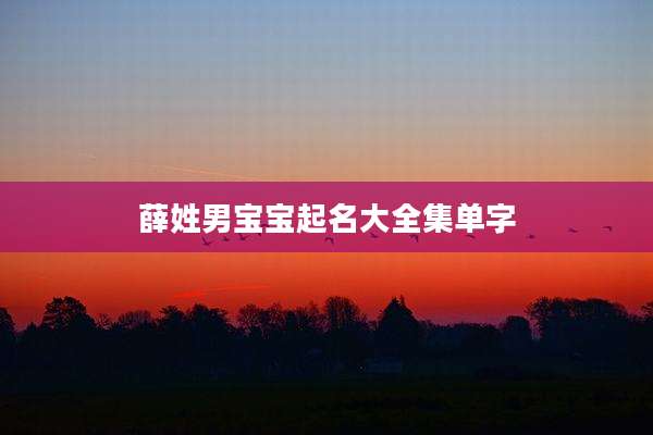 薛姓男宝宝起名大全集单字