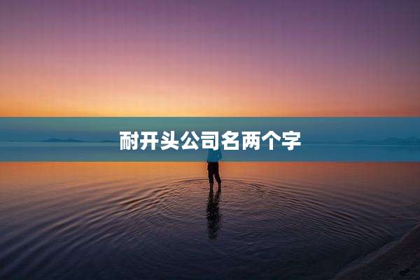 耐开头公司名两个字