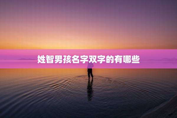 姓智男孩名字双字的有哪些