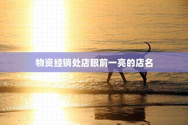 物资经销处店眼前一亮的店名