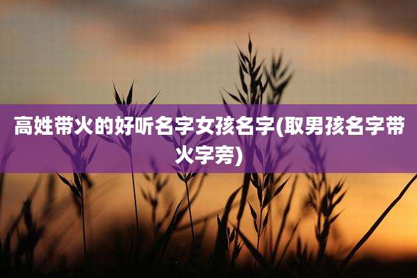高姓带火的好听名字女孩名字(取男孩名字带火字旁)