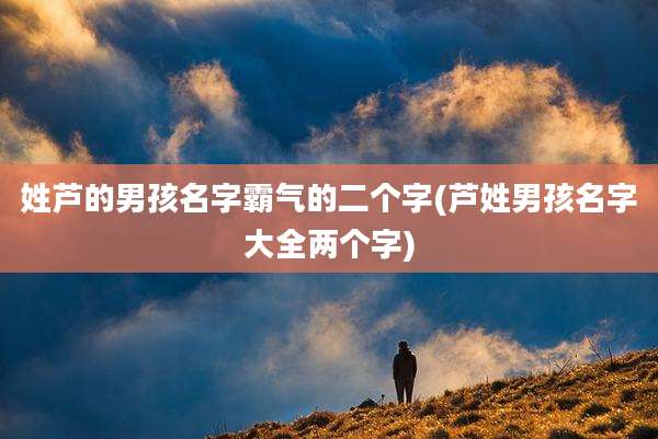 姓芦的男孩名字霸气的二个字(芦姓男孩名字大全两个字)