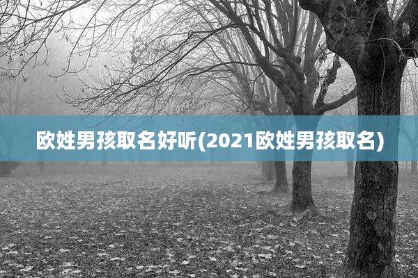 欧姓男孩取名好听(2021欧姓男孩取名)