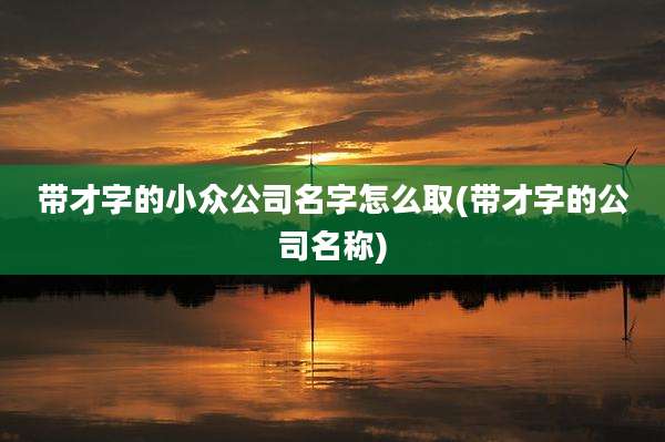 带才字的小众公司名字怎么取(带才字的公司名称)