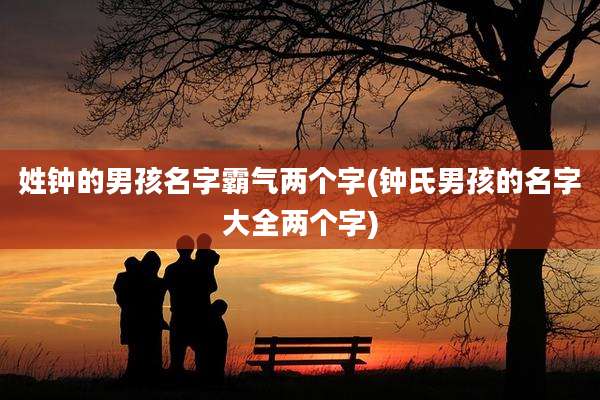 姓钟的男孩名字霸气两个字(钟氏男孩的名字大全两个字)