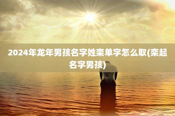 2024年龙年男孩名字姓栾单字怎么取(栾起名字男孩)