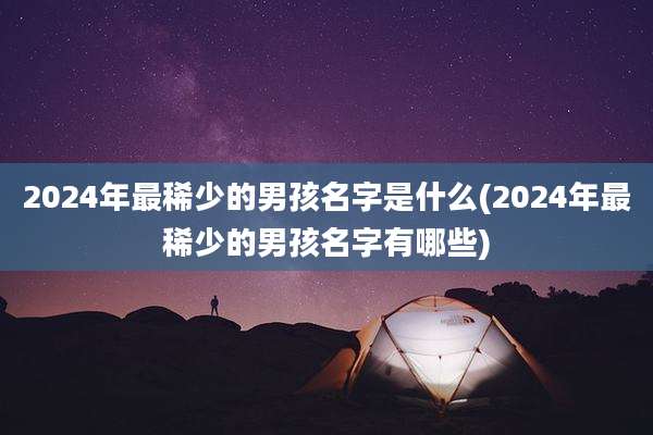 2024年最稀少的男孩名字是什么(2024年最稀少的男孩名字有哪些)