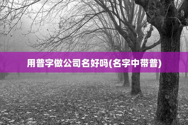 用普字做公司名好吗(名字中带普)