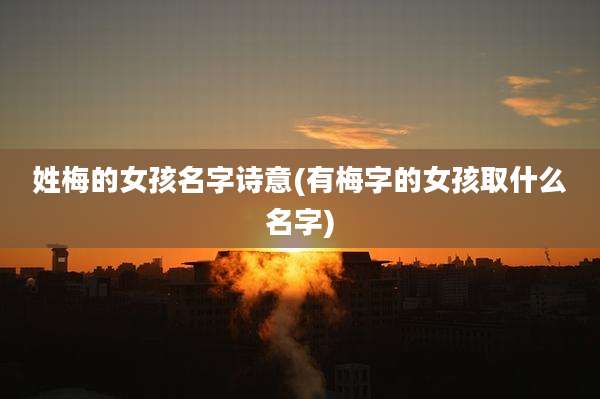 姓梅的女孩名字诗意(有梅字的女孩取什么名字)