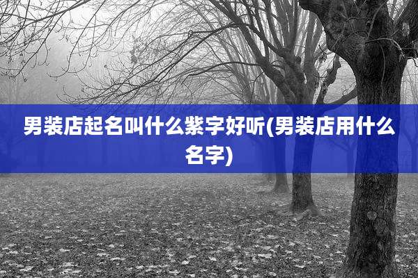 男装店起名叫什么紫字好听(男装店用什么名字)