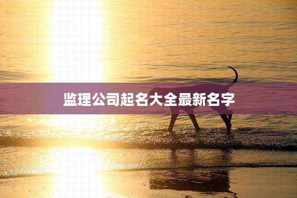 监理公司起名大全最新名字