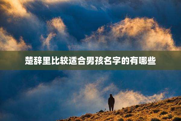 楚辞里比较适合男孩名字的有哪些