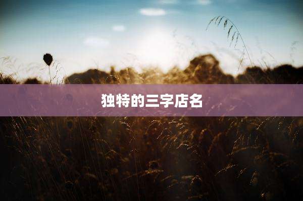 独特的三字店名