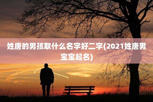 姓唐的男孩取什么名字好二字(2021姓唐男宝宝起名)
