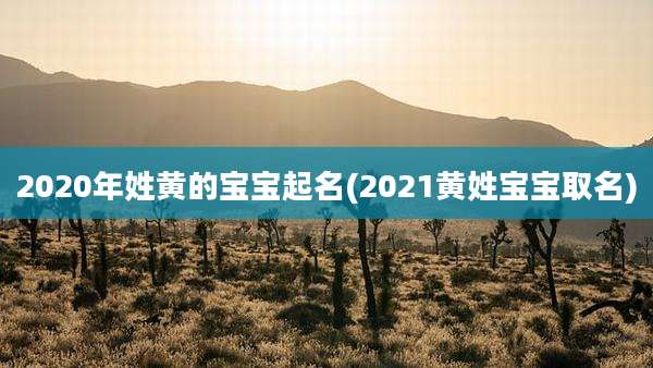 2020年姓黄的宝宝起名(2021黄姓宝宝取名)