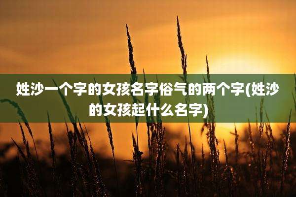 姓沙一个字的女孩名字俗气的两个字(姓沙的女孩起什么名字)