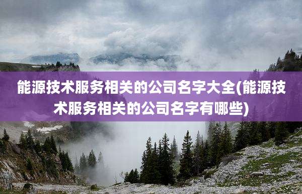 能源技术服务相关的公司名字大全(能源技术服务相关的公司名字有哪些)
