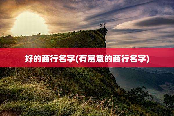 好的商行名字(有寓意的商行名字)