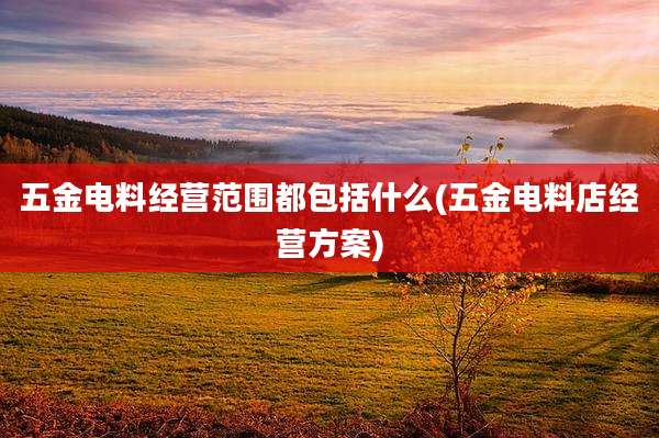 五金电料经营范围都包括什么(五金电料店经营方案)