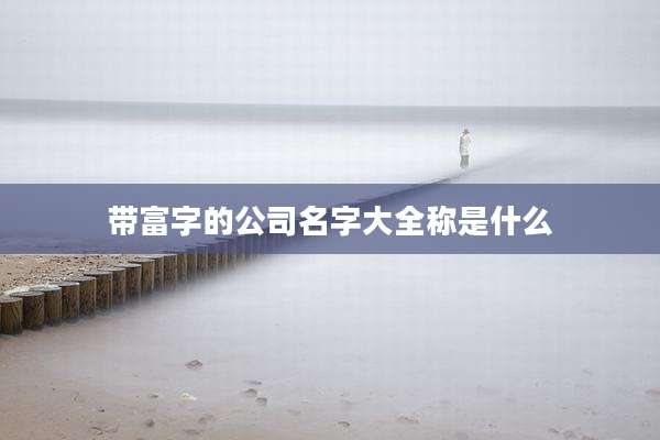带富字的公司名字大全称是什么