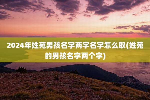 2024年姓苑男孩名字两字名字怎么取(姓苑的男孩名字两个字)