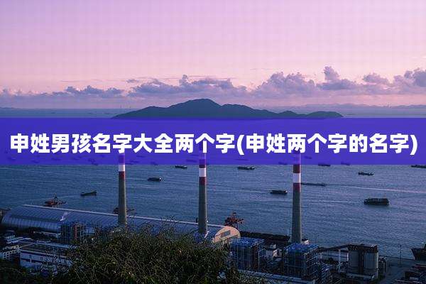 申姓男孩名字大全两个字(申姓两个字的名字)