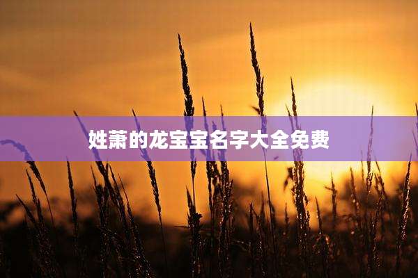 姓萧的龙宝宝名字大全免费