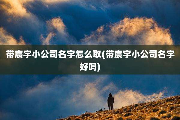 带宸字小公司名字怎么取(带宸字小公司名字好吗)