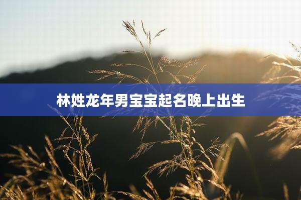 林姓龙年男宝宝起名晚上出生