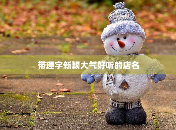 带理字新颖大气好听的店名