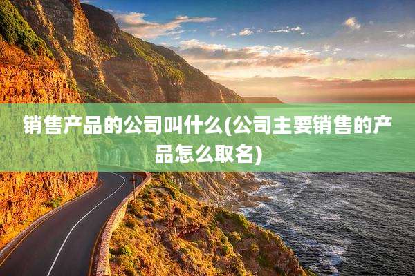 销售产品的公司叫什么(公司主要销售的产品怎么取名)