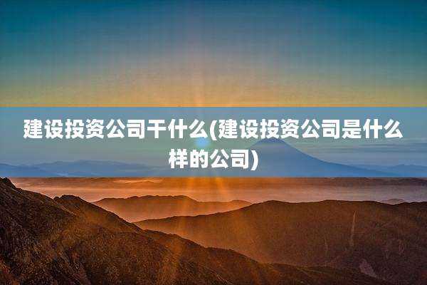 建设投资公司干什么(建设投资公司是什么样的公司)