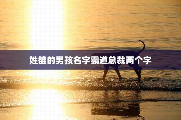 姓雒的男孩名字霸道总裁两个字