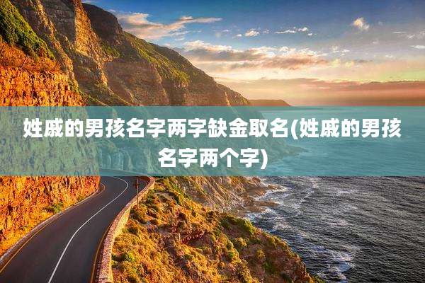 姓戚的男孩名字两字缺金取名(姓戚的男孩名字两个字)