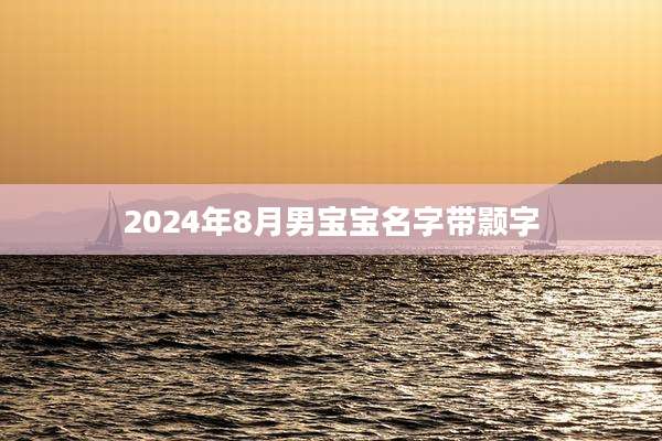 2024年8月男宝宝名字带颢字