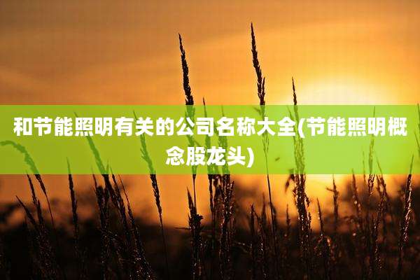 和节能照明有关的公司名称大全(节能照明概念股龙头)