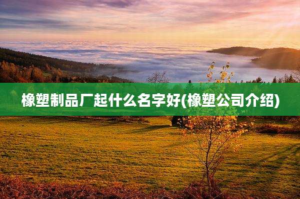橡塑制品厂起什么名字好(橡塑公司介绍)