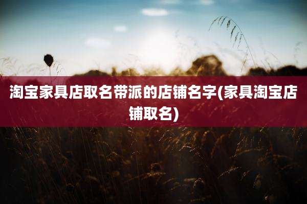 淘宝家具店取名带派的店铺名字(家具淘宝店铺取名)