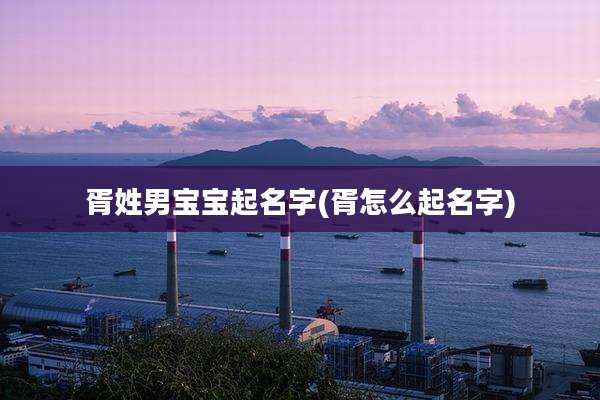 胥姓男宝宝起名字(胥怎么起名字)